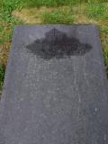 image of grave number 598268